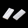 Natural White Shell Cabochons SSHEL-T017-07-2