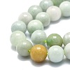 Natural Myanmar Jade Beads Strands G-E576-08B-3