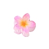 Plastic Claw Hair Clips PW-WG07B2B-11-1