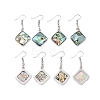Abalone Shell/Paua Shell Dangle Earrings EJEW-F147-A12-2
