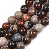 Natural Petrified Wood Round Bead Strands G-F266-08-8mm-2