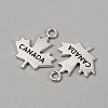Tibetan Style Alloy Pendants FIND-CJC0018-29AS-1