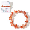 Natural Carnelian Chips Bead Stretch Bracelets for Women Men CI5318-2-1