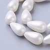 Electroplate Shell Pearl Beads Strands BSHE-O019-12-3