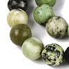 Natural Serpentine Beads Strands G-Q616-07D-4