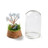 Natural Aquamarine Chips Money Tree in Dome Glass Bell Jars with Wood Base Display Decorations DJEW-K030-02I-3