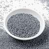 MIYUKI Round Rocailles Beads SEED-X0056-RR0240-2