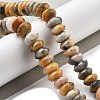 Natural Crazy Agate Beads Strands G-P559-A05-02-2