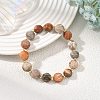 Natural Fossil Coral Faceted Flat Round Beaded Stretch Bracelets with Brass Round Beads for Women BJEW-JB14168-1