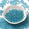 6/0 Transparent Colours Glass Seed Beads SEED-P006-01A-08-2