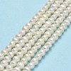 Natural Cultured Freshwater Pearl Beads Strands PEAR-F018-13C-01-2