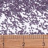 MIYUKI Delica Beads SEED-MY11-DB0662-4