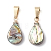 Abalone Shell/Paua Shell Pendants PALLOY-JF05263-1