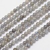 Natural Labradorite Round Bead Strands G-I156-01-4mm-1