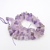 Natural Amethyst Nuggets Bead Strands G-A139-B03-2