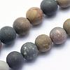 Natural Ocean Agate/Ocean Jasper Beads Strands G-G716-02-6mm-1