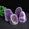 Natural Druzy Amethyst Ornament PW-WGCCCE0-01-1