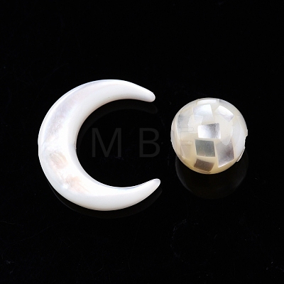 Natural White Shell Beads Set SSHEL-N032-51-B01-1