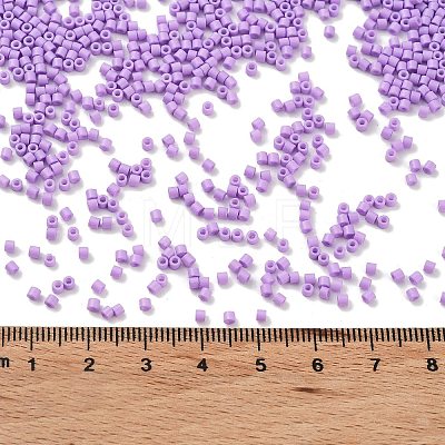Baking Paint Glass Seed Beads SEED-S042-05B-71-1