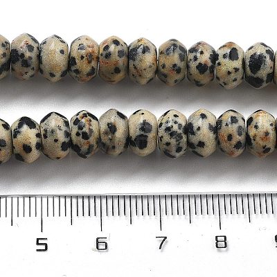 Natural Dalmatian Jasper Beads Strands G-P559-A01-01-1