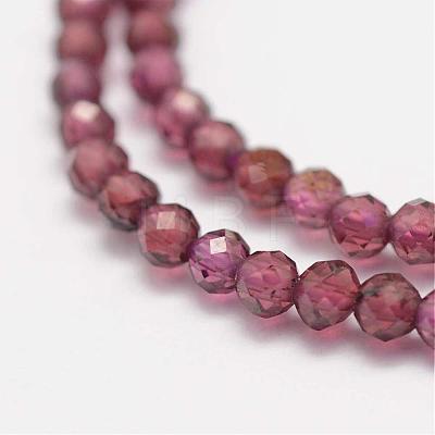 Natural Garnet Beads Strands G-K182-2mm-10-1