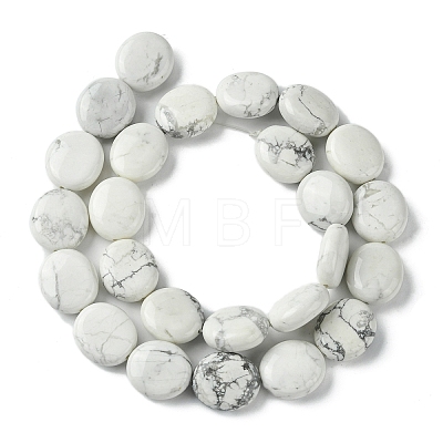 Natural Howlite Beads Strands G-K365-B14-03-1