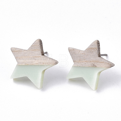 Resin & Wood Stud Earrings EJEW-N017-001A-C03-1