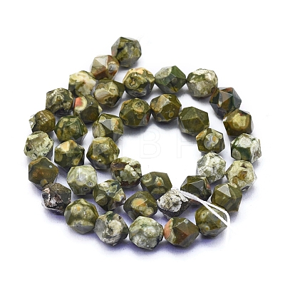 Natural Rhyolite Jasper Beads Strands G-L552O-01-10mm-1