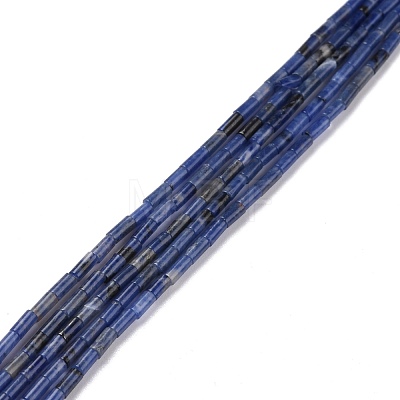 Natural Sodalite Beads Strands G-M389-11-1