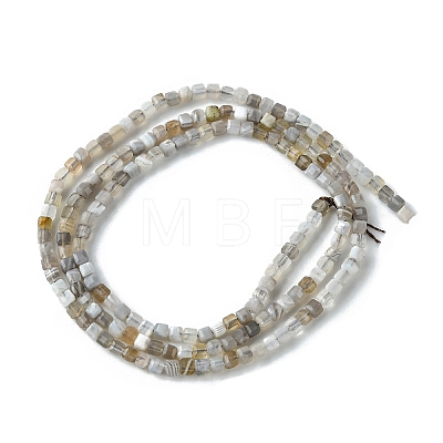 Natural Botswana Agate Beads Strands G-F748-C01-1