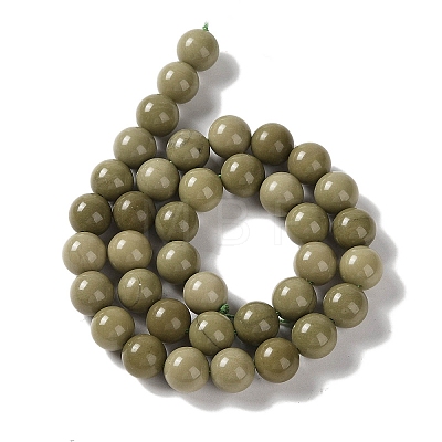 Natural Alashan Agate Beads Strands G-P530-B05-04-1