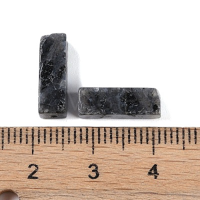 Natural Larvikite Beads G-G137-01M-1