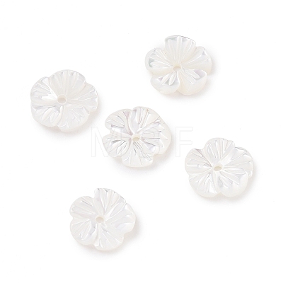 Natural Trochid Shell/Trochus Shell Beads SHEL-P014-02A-1