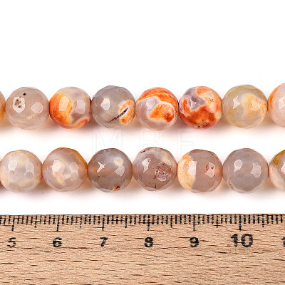 Dyed & Heated Natural Fire Crackle Agate Beads Strands G-N359-01B-10-1