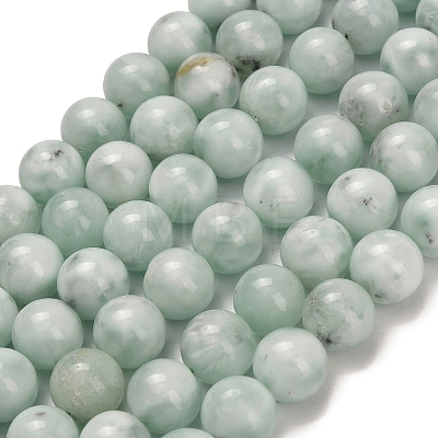 Glass Beads Strands G-L642-B18-12mm-1