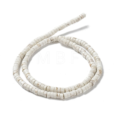 Natural Howlite Beads Strands G-E604-A01-B-1