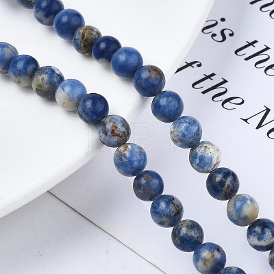Natural Sodalite Beads Strands G-S279-10-6mm-1