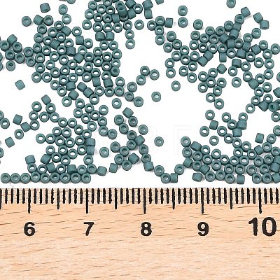 MIYUKI Delica Beads SEED-MY11-DB2407-1