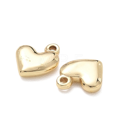 304 Stainless Steel Charms SA-CBA3037-20G-07-1