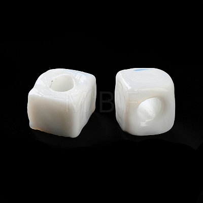 Handmade Lampwork Beads LAMP-Q003-01G-1