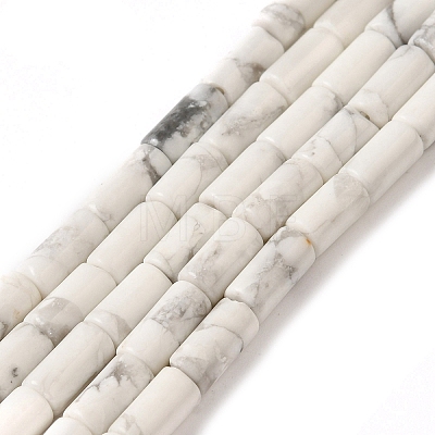 Natural Howlite Beads Strands G-B091-A17-01-1