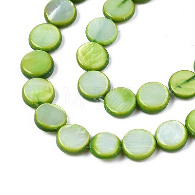 Freshwater Shell Beads Strands X-SHEL-T009-B16-04-1