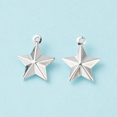 304 Stainless Steel Pendants STAS-I138-12S-1