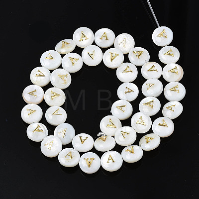 Natural Freshwater Shell Beads SHEL-S276-168A-1