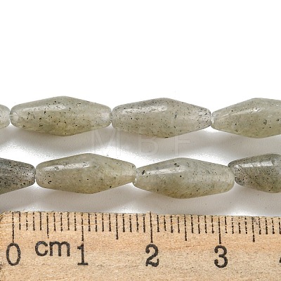 Natural Labradorite Beads Strands G-A223-A04-01-1
