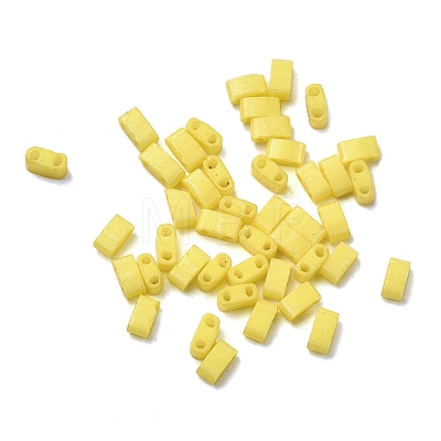 2-Hole Baking Paint Glass Seed Beads SEED-S023-17B-34-1
