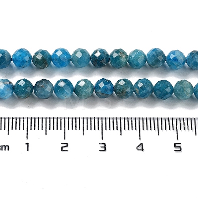 Natural Apatite Beads Strands G-J400-E01-05-1