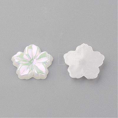 Acrylic Cabochons MACR-Q183-06-1