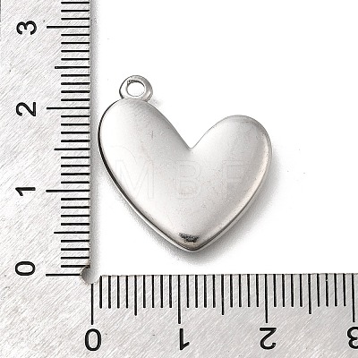 304 Stainless Steel Pendants STAS-C119-14P-1