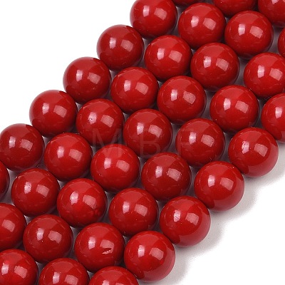 Shell Pearl Beads Strands BSHE-K015-10mm-01-1